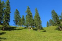 2015-07-01_1Pano-bei-Lacke (339).JPG